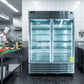 ENFRIADOR VERTICAL |  2 PUERTAS DE VIDRIO | GELUM-PROFESIONAL | GP-EV-2PV-49 |  49 ft³ (1388 L)